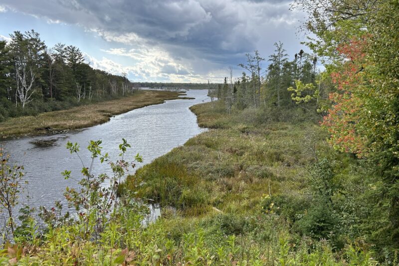 Where the wild things thrive: Finding and protecting nature’s climate change safe havens