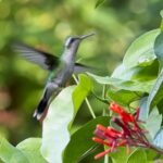 54376619938_3b3490db88_h