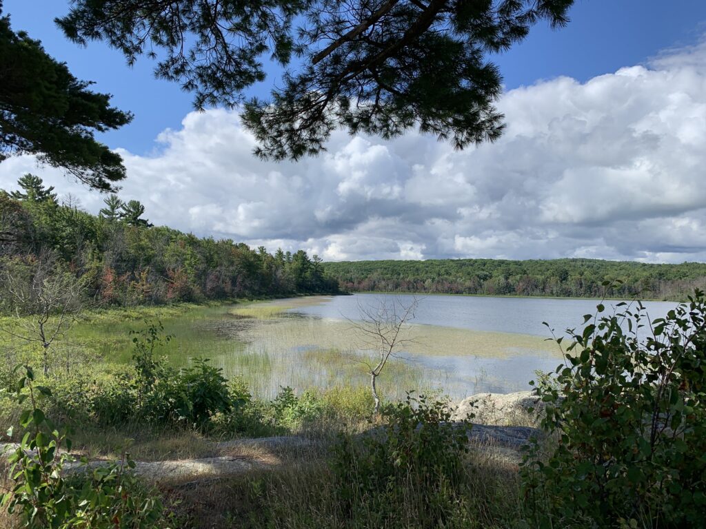 Summer Hikes in Marquette