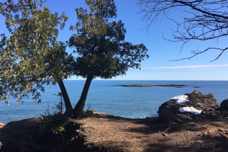 The Journey North – 6 days birding to our new home