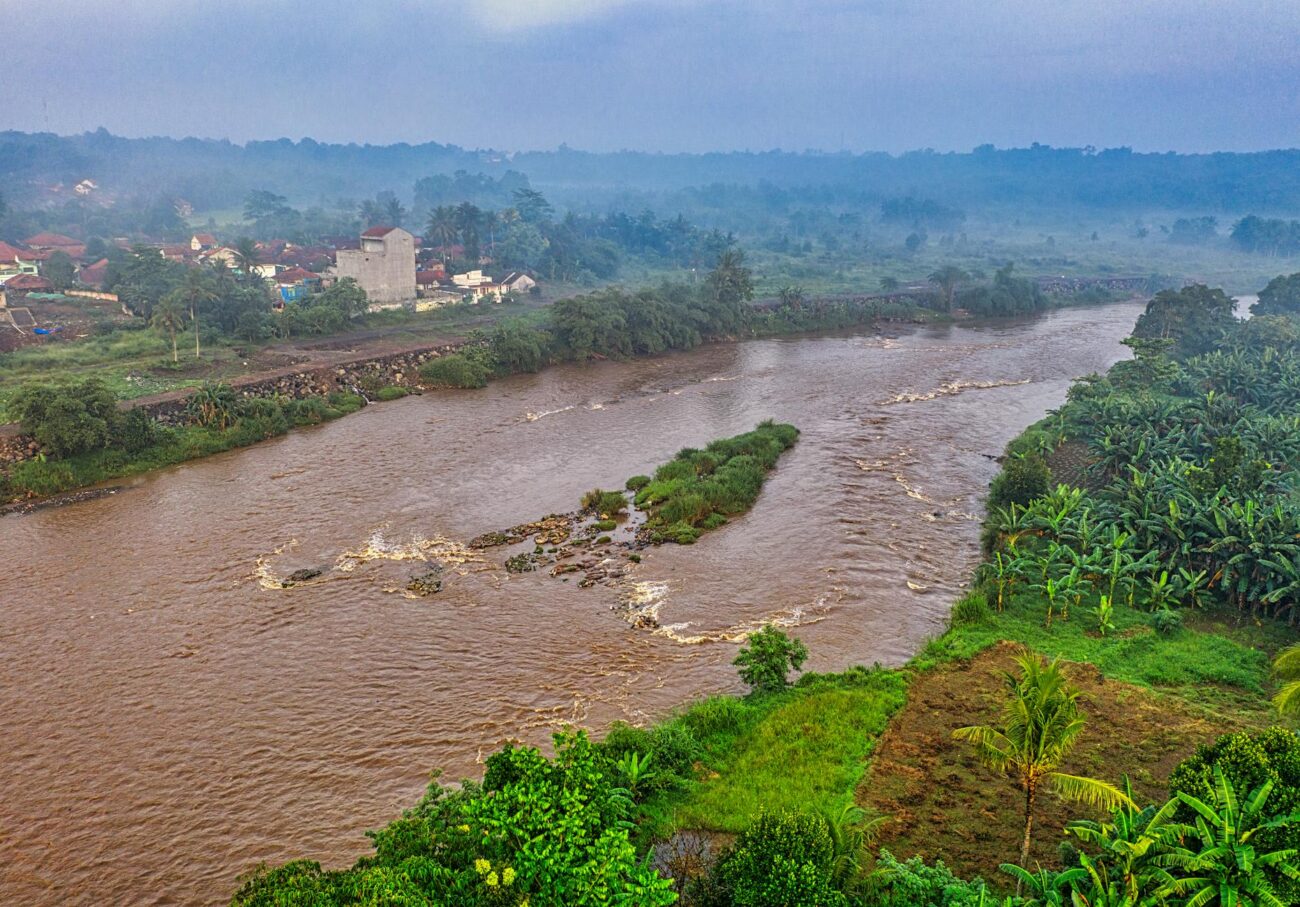 brown river surrounded by trees