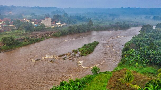 brown river surrounded by trees