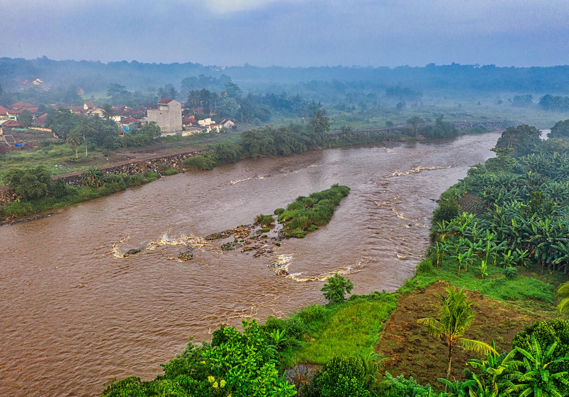 brown river surrounded by trees